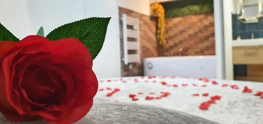 Love Rooms De La Presqu'Ile Saint-Vincent-de-Paul  外观 照片